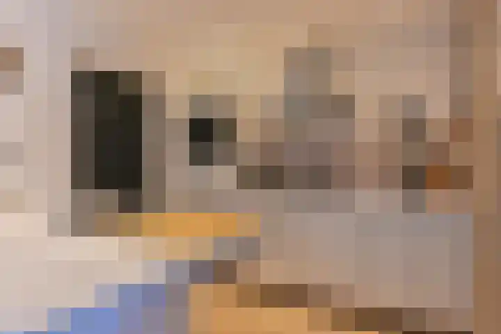 Laarwout 30 Emmen thumbnail 4