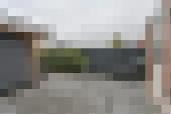 Laarwout 30 Emmen thumbnail 57
