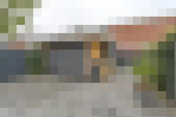 Laarwout 30 Emmen thumbnail 58