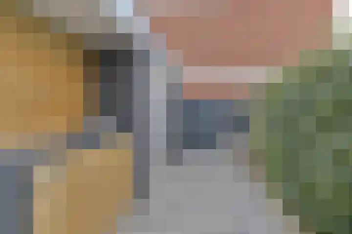 Laarwout 30 Emmen thumbnail 60