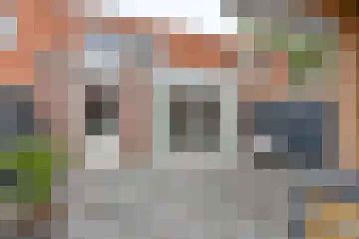 Laarwout 30 Emmen thumbnail 62