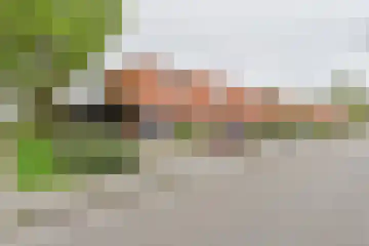 Laarwout 30 Emmen thumbnail 67