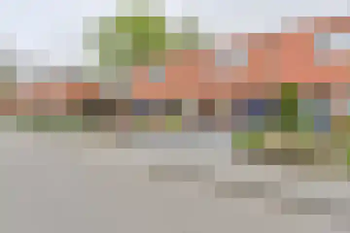 Laarwout 30 Emmen thumbnail 70