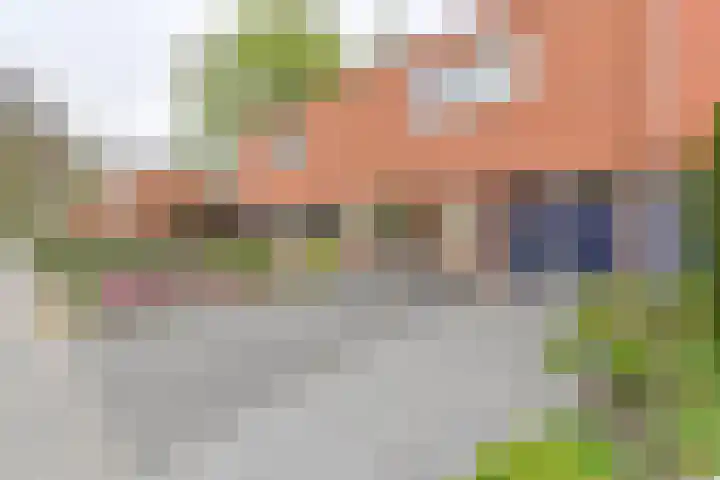 Laarwout 30 Emmen thumbnail 72