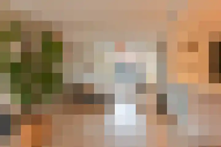 Laarwout 30 Emmen thumbnail 9