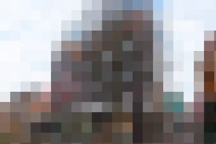 Laat 202 A Alkmaar thumbnail 27