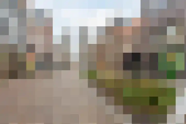 Laat 202 A Alkmaar thumbnail 28