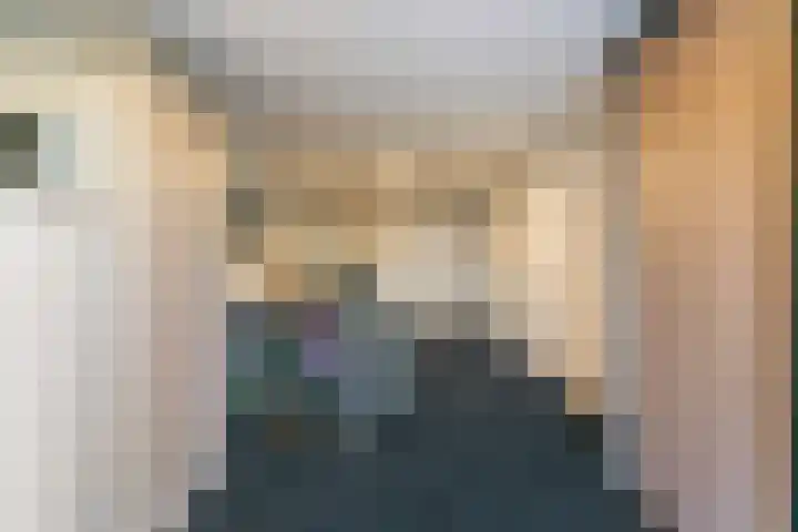 Laat 8 Tollebeek thumbnail 19