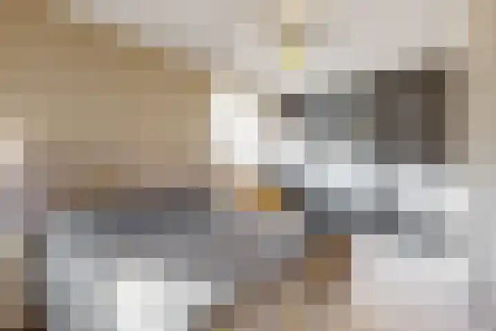 Laat 8 Tollebeek thumbnail 21