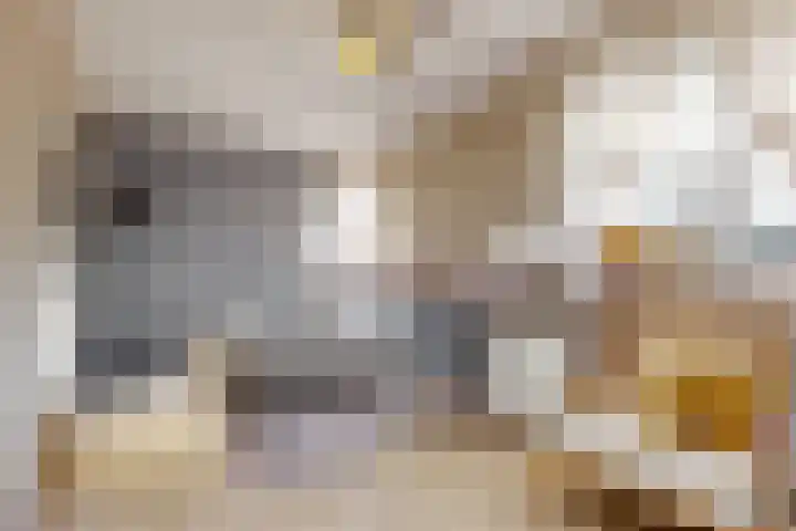 Laat 8 Tollebeek thumbnail 22