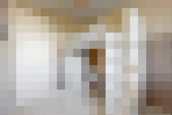 Laat 8 Tollebeek thumbnail 24
