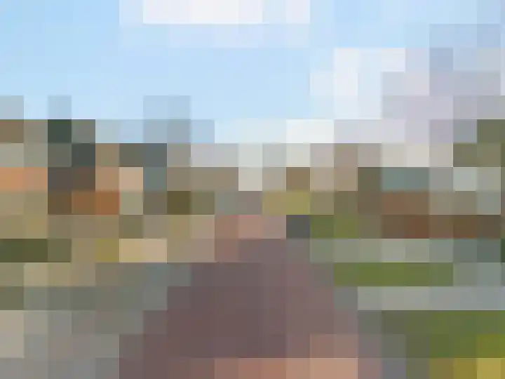 Laat 8 Tollebeek foto 3