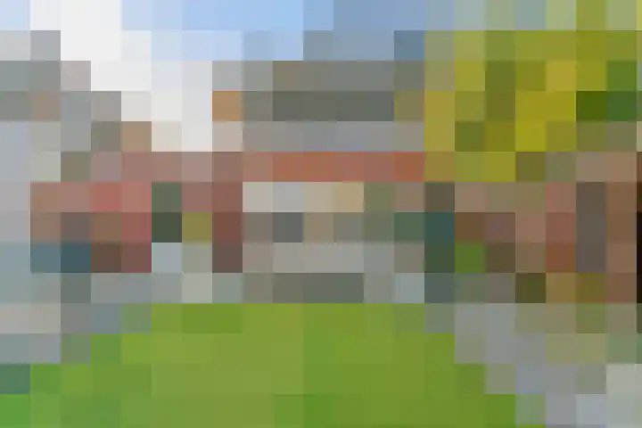 Laat 8 Tollebeek thumbnail 33
