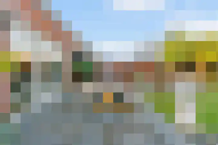 Laat 8 Tollebeek thumbnail 34