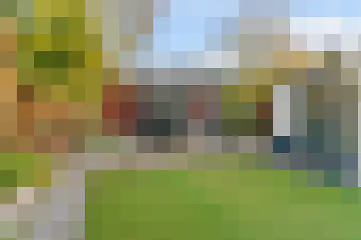 Laat 8 Tollebeek thumbnail 37