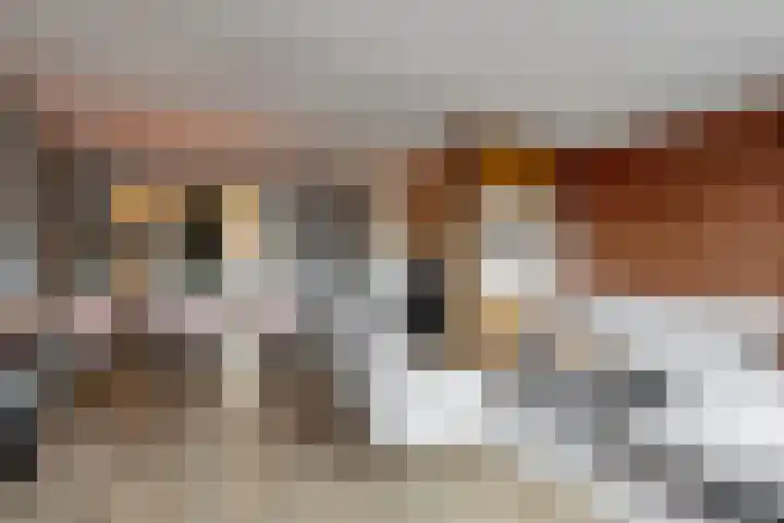 Laat 8 Tollebeek thumbnail 6
