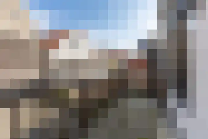 Laat 88 B Alkmaar thumbnail 19