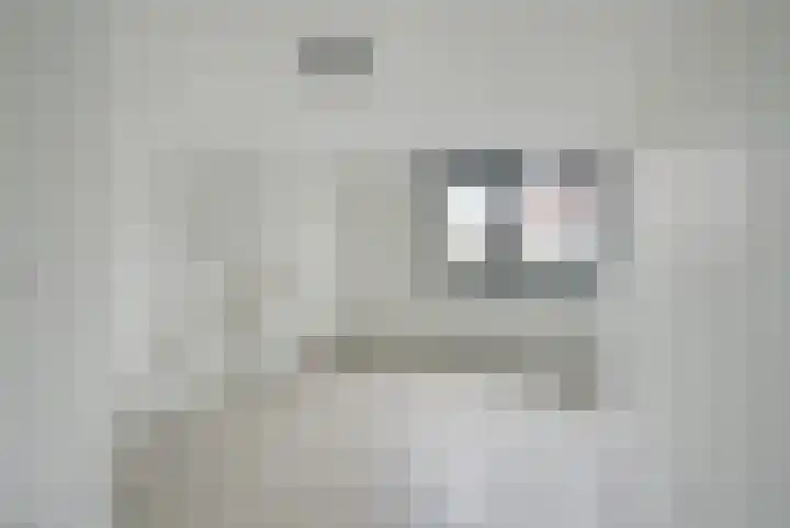 Laat 88 C Alkmaar thumbnail 10