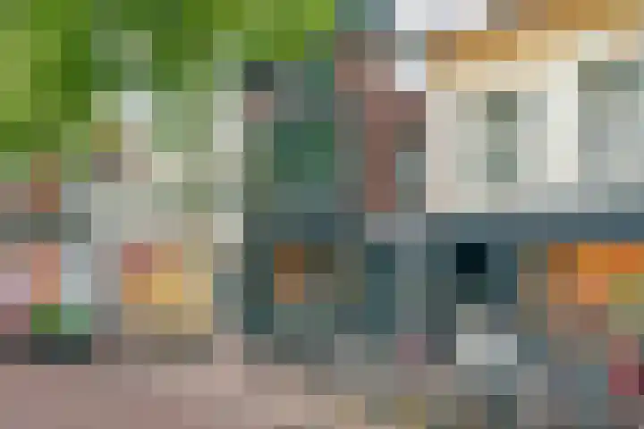 Laat 88 C Alkmaar thumbnail 17
