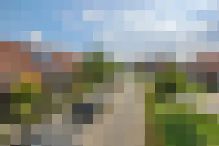 Laathoeve 57 Helmond thumbnail 10