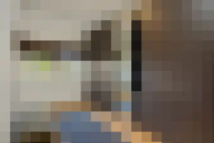 Laathoeve 57 Helmond thumbnail 30