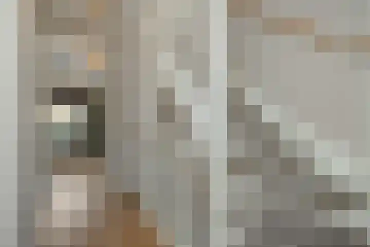 Laathoeve 57 Helmond thumbnail 31