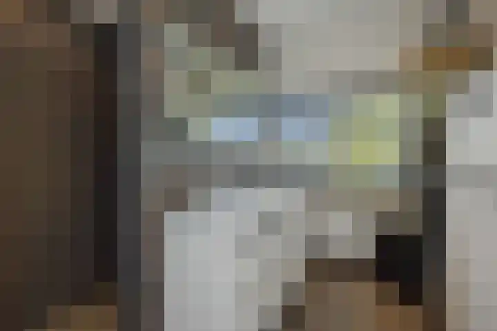 Laathoeve 57 Helmond thumbnail 32