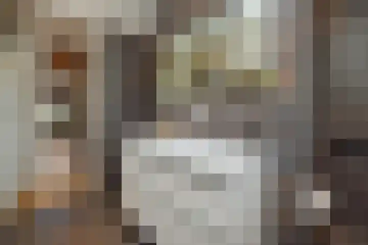 Laathoeve 57 Helmond thumbnail 34