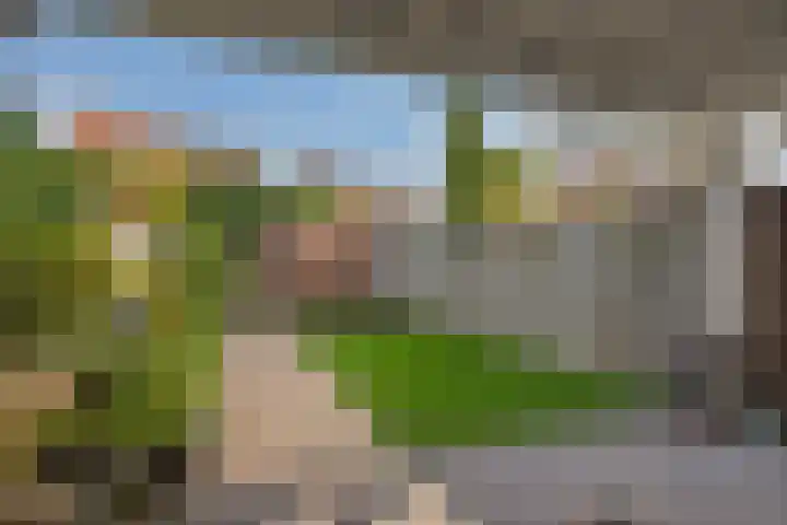 Laathoeve 57 Helmond thumbnail 39