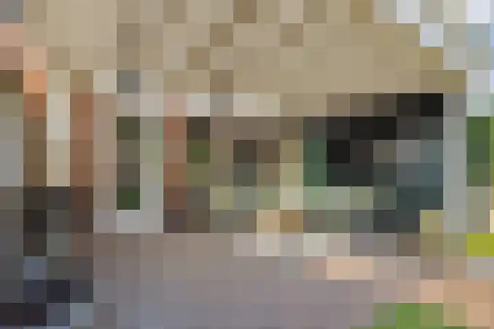 Laathoeve 57 Helmond thumbnail 42