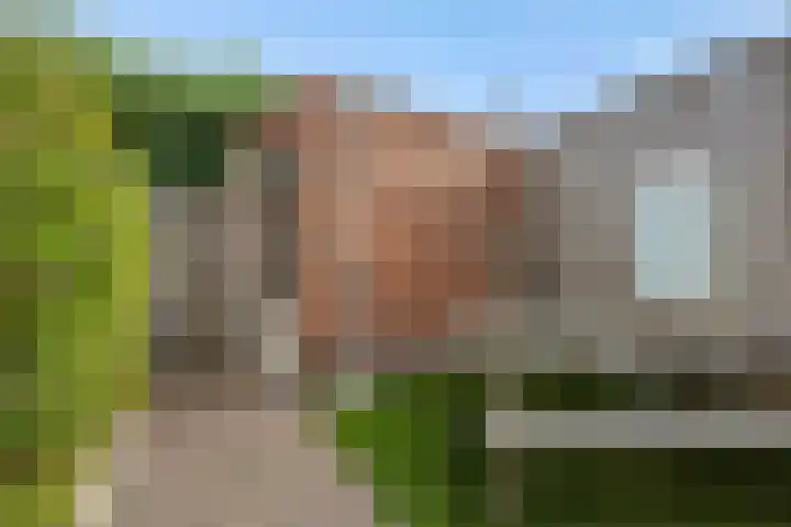 Laathoeve 57 Helmond thumbnail 43
