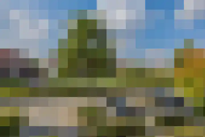Laathoeve 57 Helmond thumbnail 44