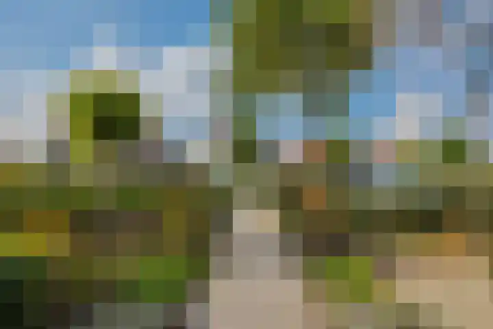 Laathoeve 57 Helmond thumbnail 6