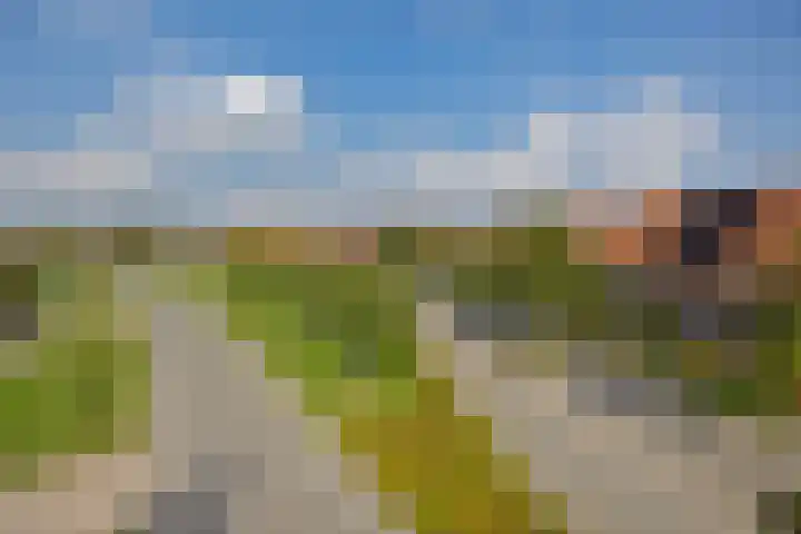 Laathoeve 57 Helmond thumbnail 8