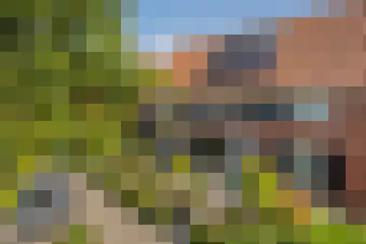 Laathoeve 57 Helmond thumbnail 9
