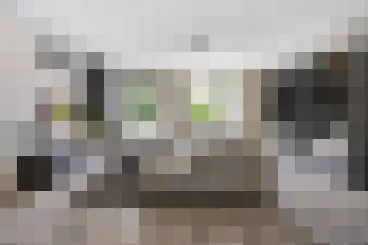 Laathoeve 58 Helmond thumbnail 12