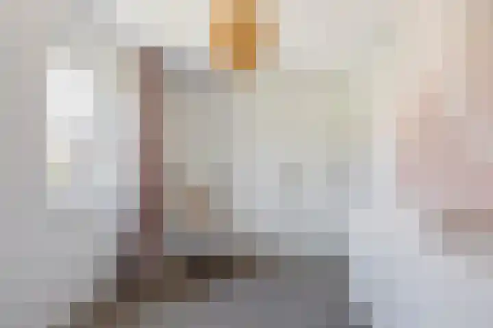 Laathoeve 58 Helmond thumbnail 19