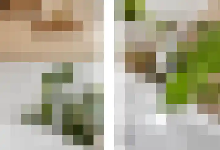 Laathofstraat 32 Beek thumbnail 31