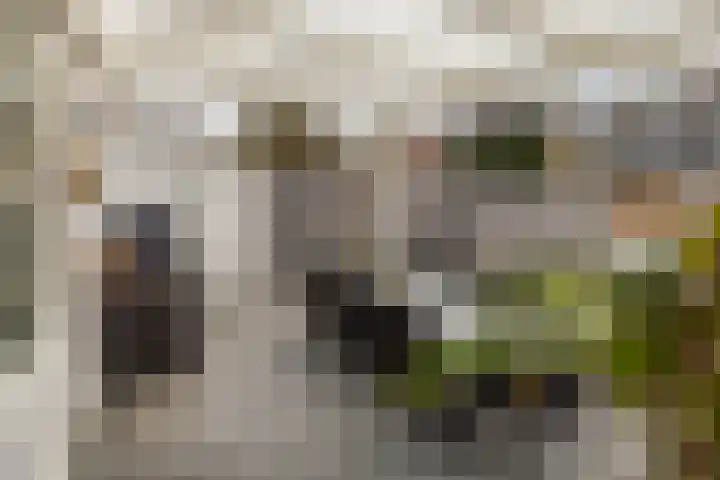 Laathofstraat 32 Beek thumbnail 46