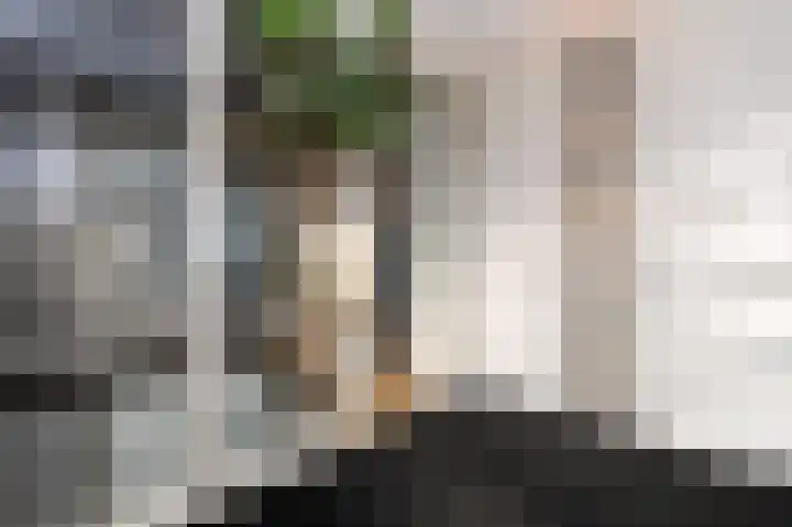 Laauwikstraat 27 Lent thumbnail 10
