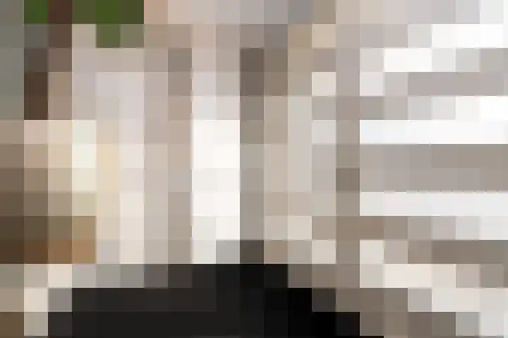Laauwikstraat 27 Lent thumbnail 11