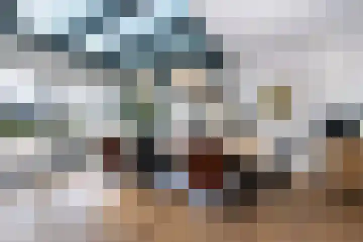 Laauwikstraat 27 Lent thumbnail 17