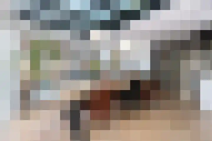 Laauwikstraat 27 Lent thumbnail 18