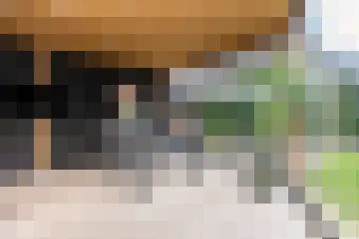 Laauwikstraat 27 Lent thumbnail 44