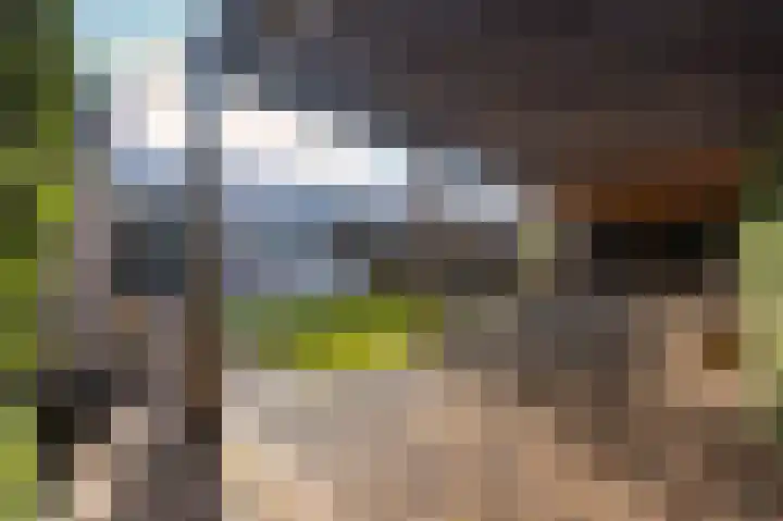 Laauwikstraat 27 Lent thumbnail 47