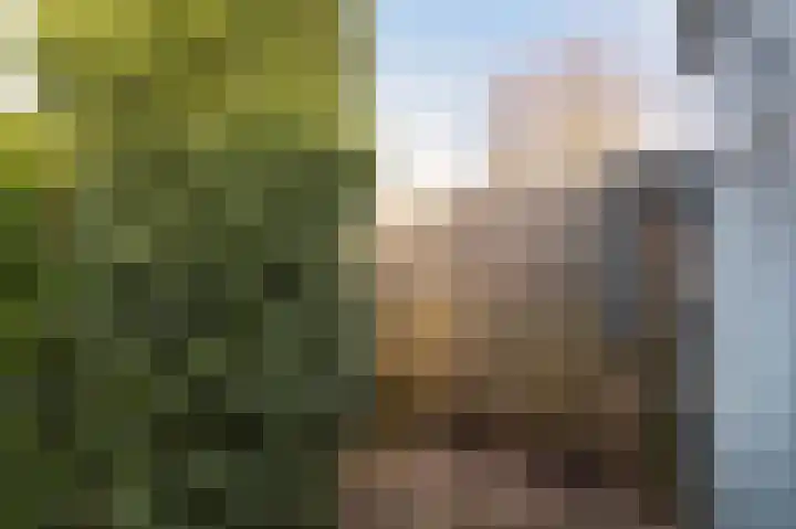 Laauwikstraat 27 Lent thumbnail 50