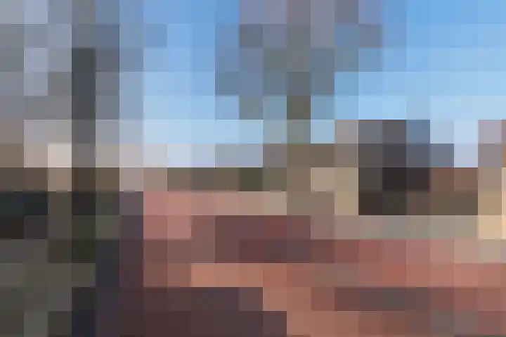 Laauwikstraat 27 Lent thumbnail 55