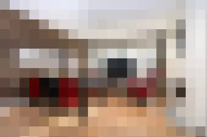 Laauwikstraat 27 Lent thumbnail 7