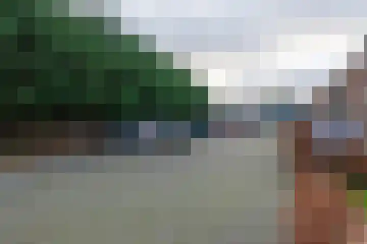 Laauwikstraat 82 A 8 Lent thumbnail 16