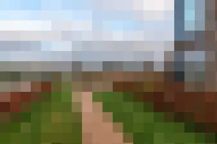 Laauwikstraat 82 A 8 Lent thumbnail 19